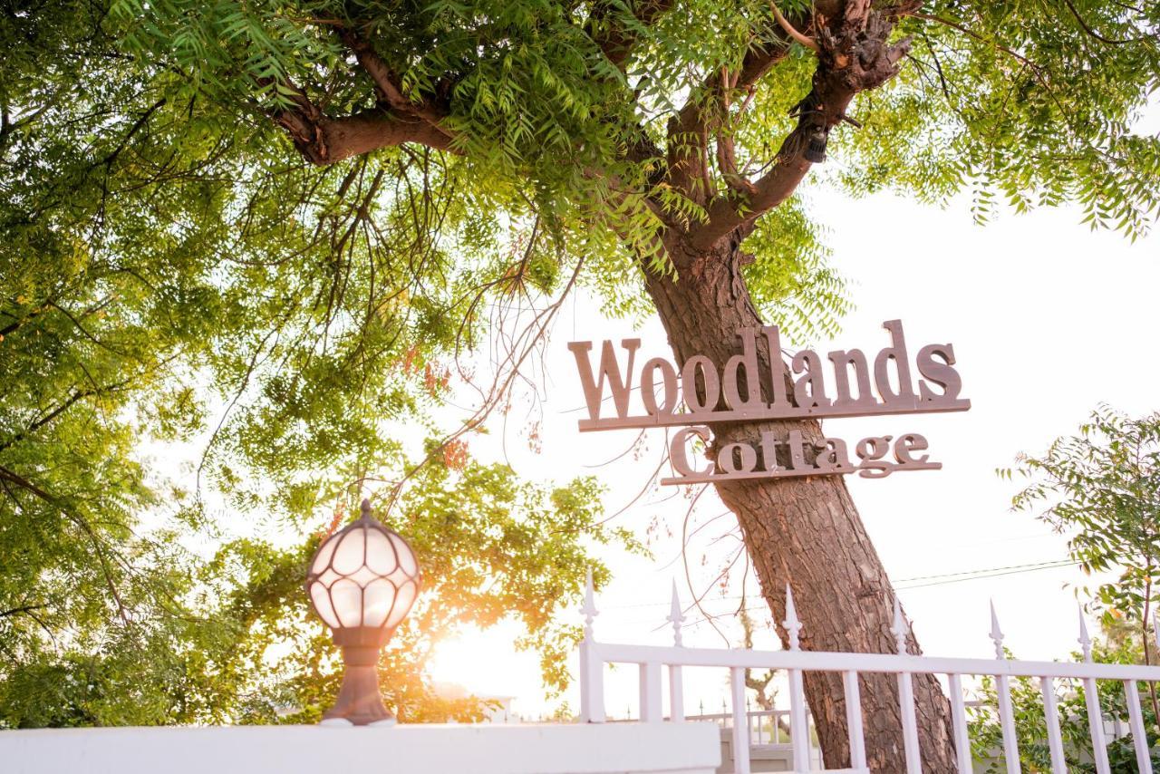 Woodlands Cottage - Luxury Stay 焦特布尔 外观 照片